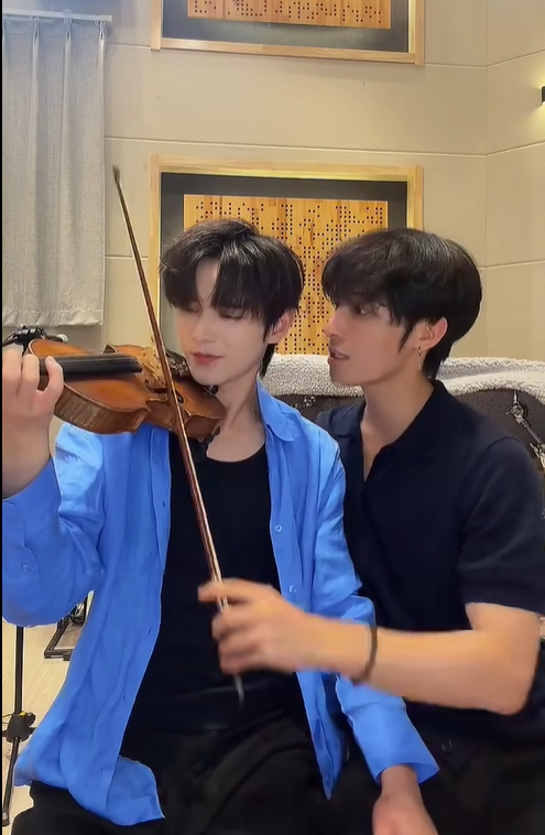 Violin 01 · 2026-07-12